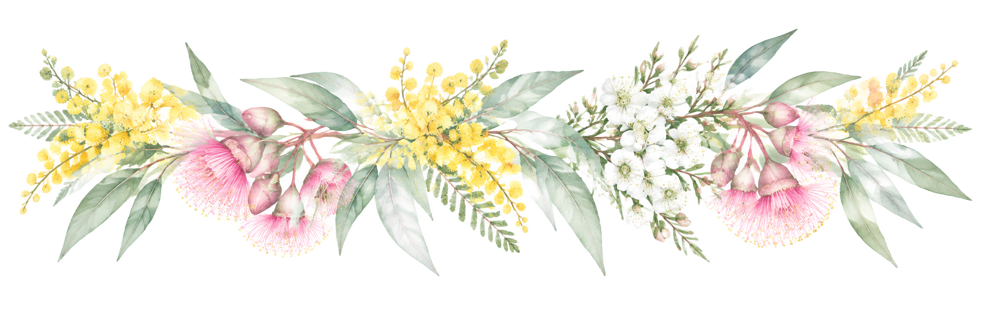 Australian native flowers — wattle, gum blossom and tea-tree
